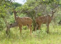 153 Wir haben Hunger