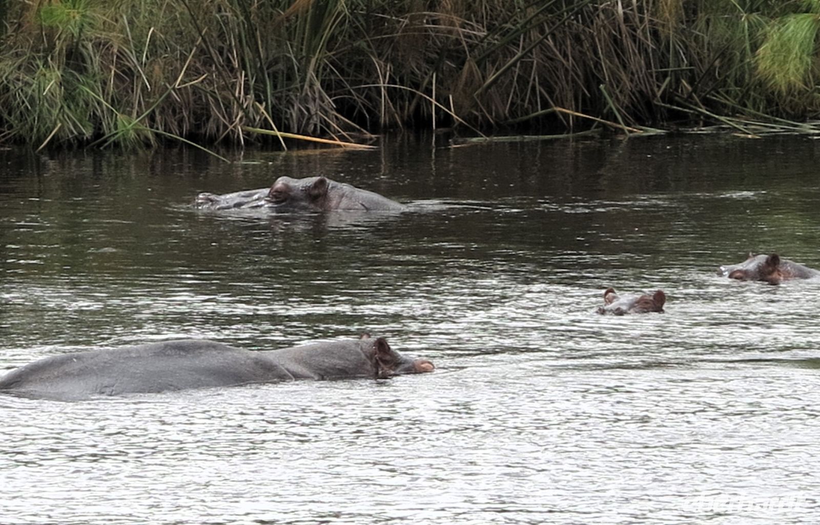 157 Auf dem Wasser sind wir nie unbeobachtet