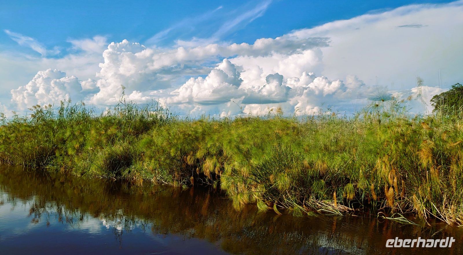 164 Bestes Wetter für eine Bootstour