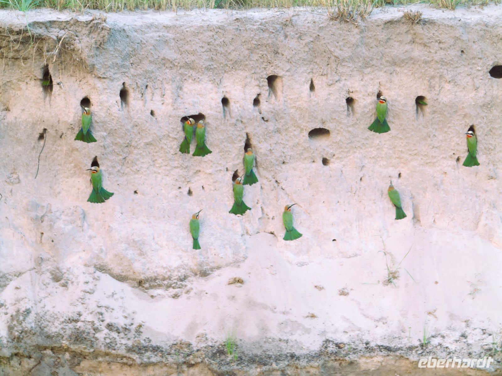 167 Mehrfamilienhaus