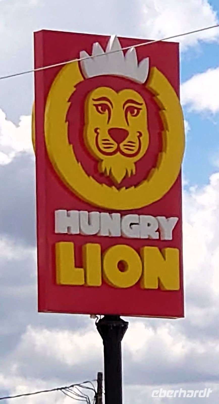 180 Der Löwe ist hungrig