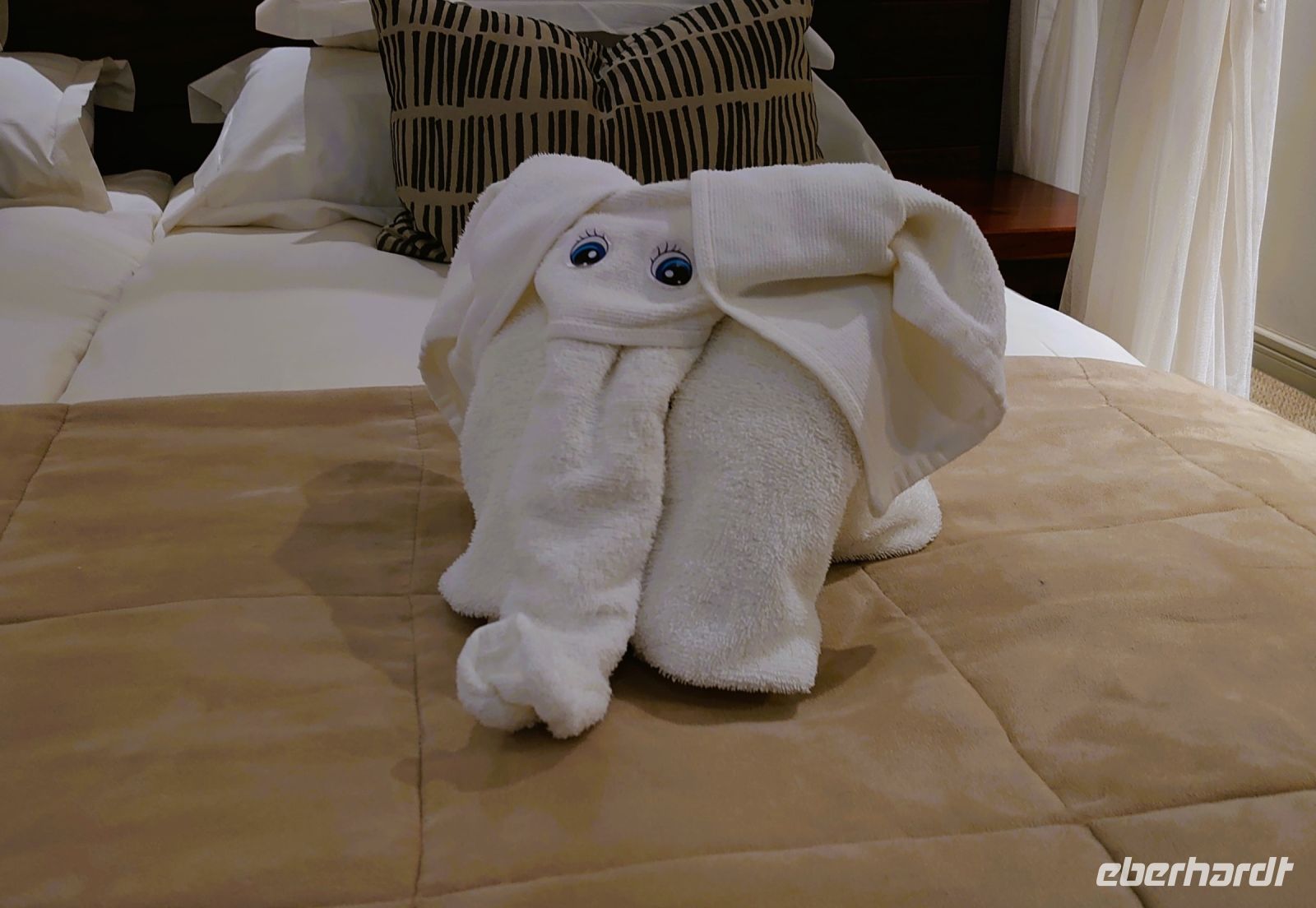 190 Elefanten im Zimmer