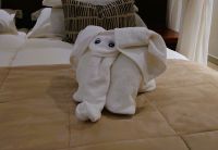 190 Elefanten im Zimmer