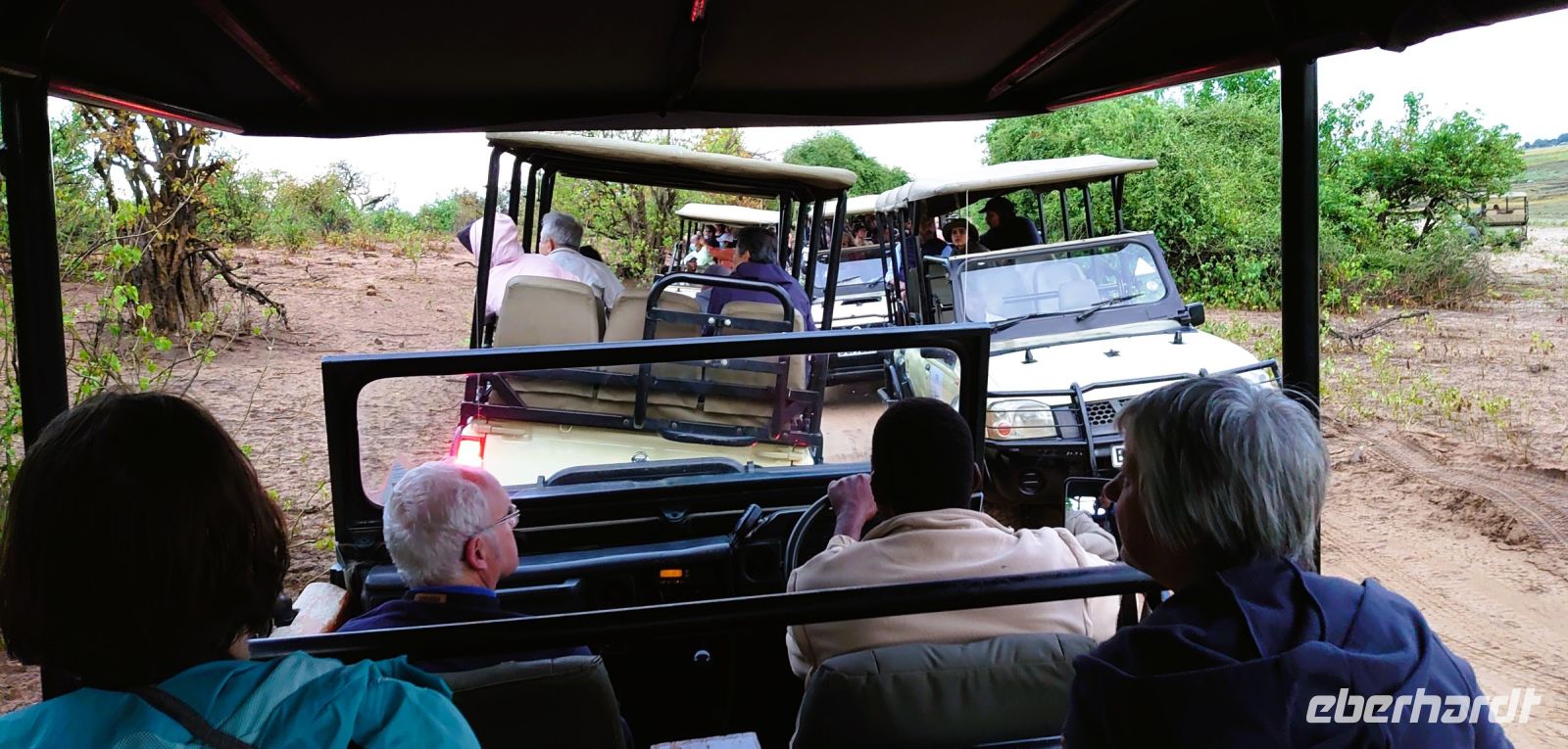 192 Rushhour bei der morgendlich Pirschfahrt im Chobe NP