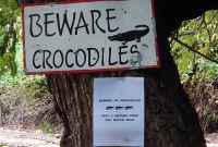 200 Nicht zu dicht ans Wasser!