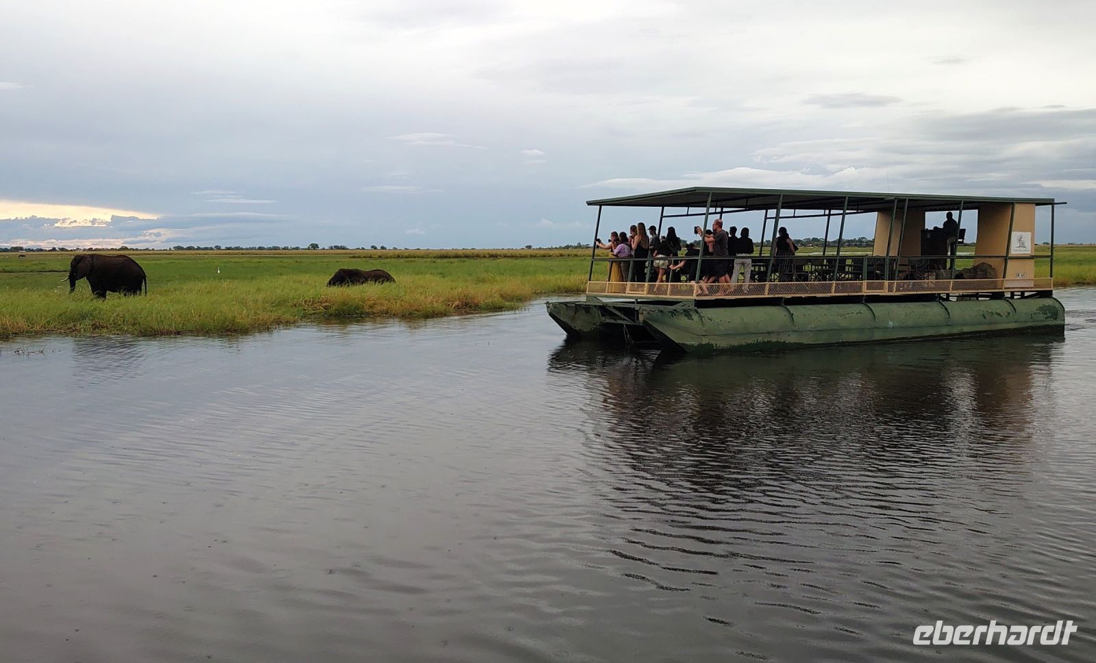 204 Auf Elefantenjagd