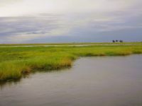 210 Idylle am Chobe-Fluss