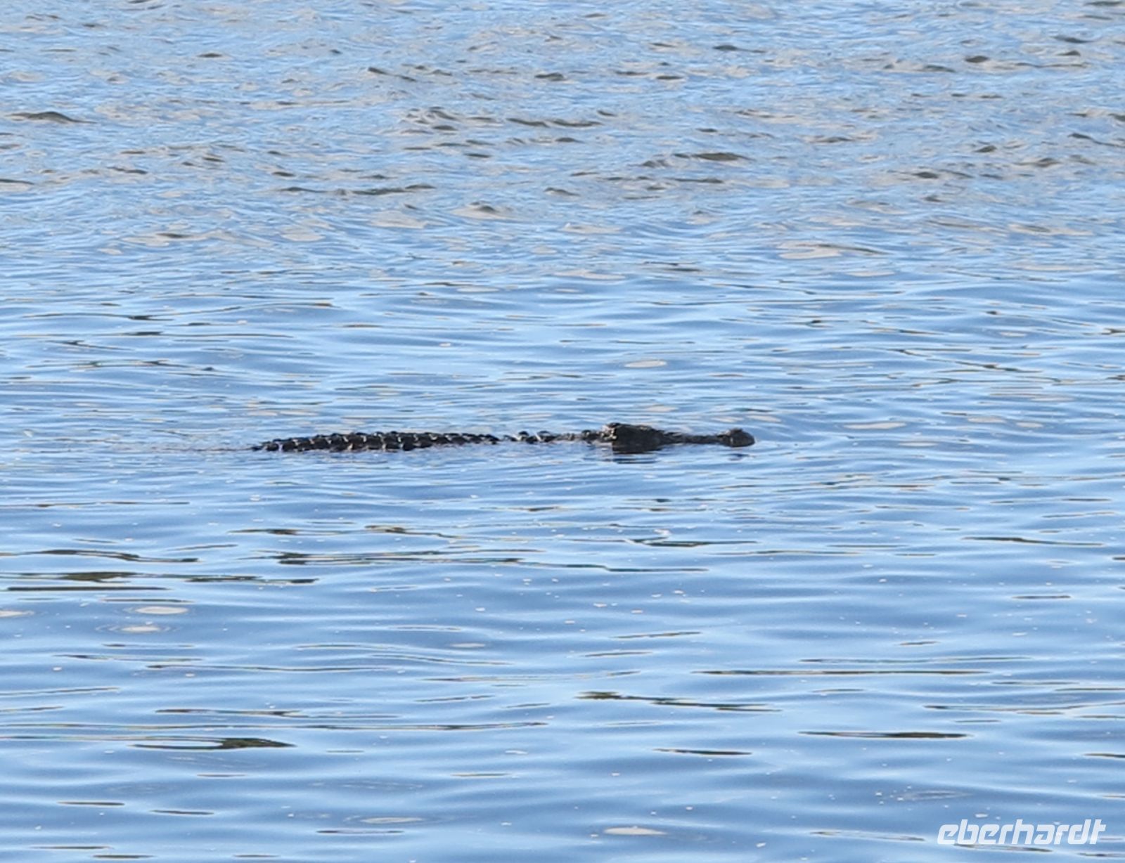 239 Lieber nicht hineinspringen...