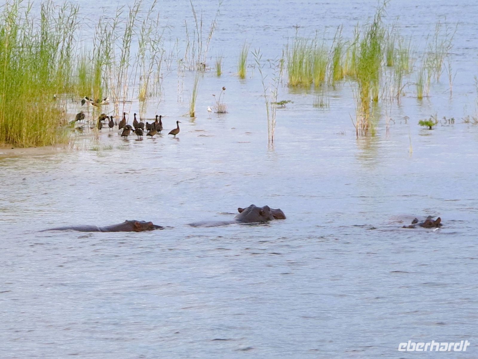 240 Auch wieder mit dabei