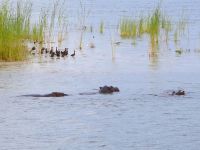 240 Auch wieder mit dabei