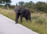 72 Jetzt geh ich über die Straße