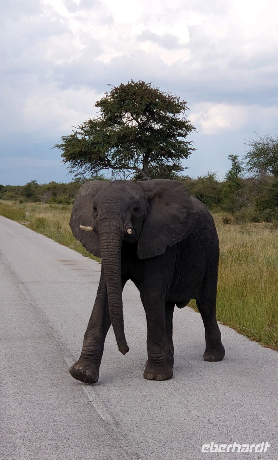 73 Jetzt geh ich immer noch über die Straße