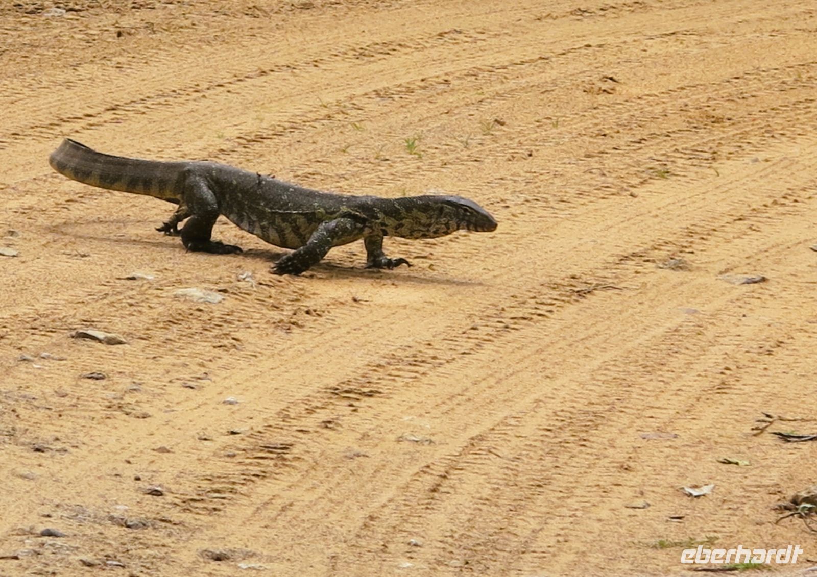 119 Platz da, jetzt komme ich