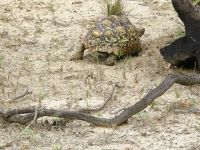 120 Da gehe ich mal lieber