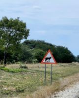 157 Achtung Wildhunde