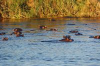 211 vorbei an Hippohausen