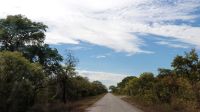 221 Unterwegs nach Vic Falls