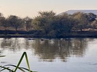 Mount Etjo Safari Lodge, Hippos