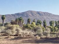 Mount Etjo Safari Lodge