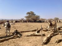 Fahrt zum Etosha 
