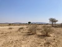 Fahrt zum Etosha 