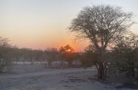 Safari Etosha, Sonnenuntergang