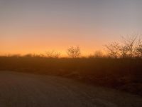 Safari Etosha, Sonnenaufgang