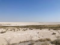 Safari Etosha, Etoshapfanne