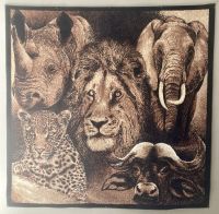 Popa Falls, White Sands, Big 5