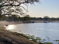 Jeep Safari, Bwabwata Park, Elefanten