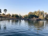 Bootsfahrt auf dem Sambesi, Elefanten