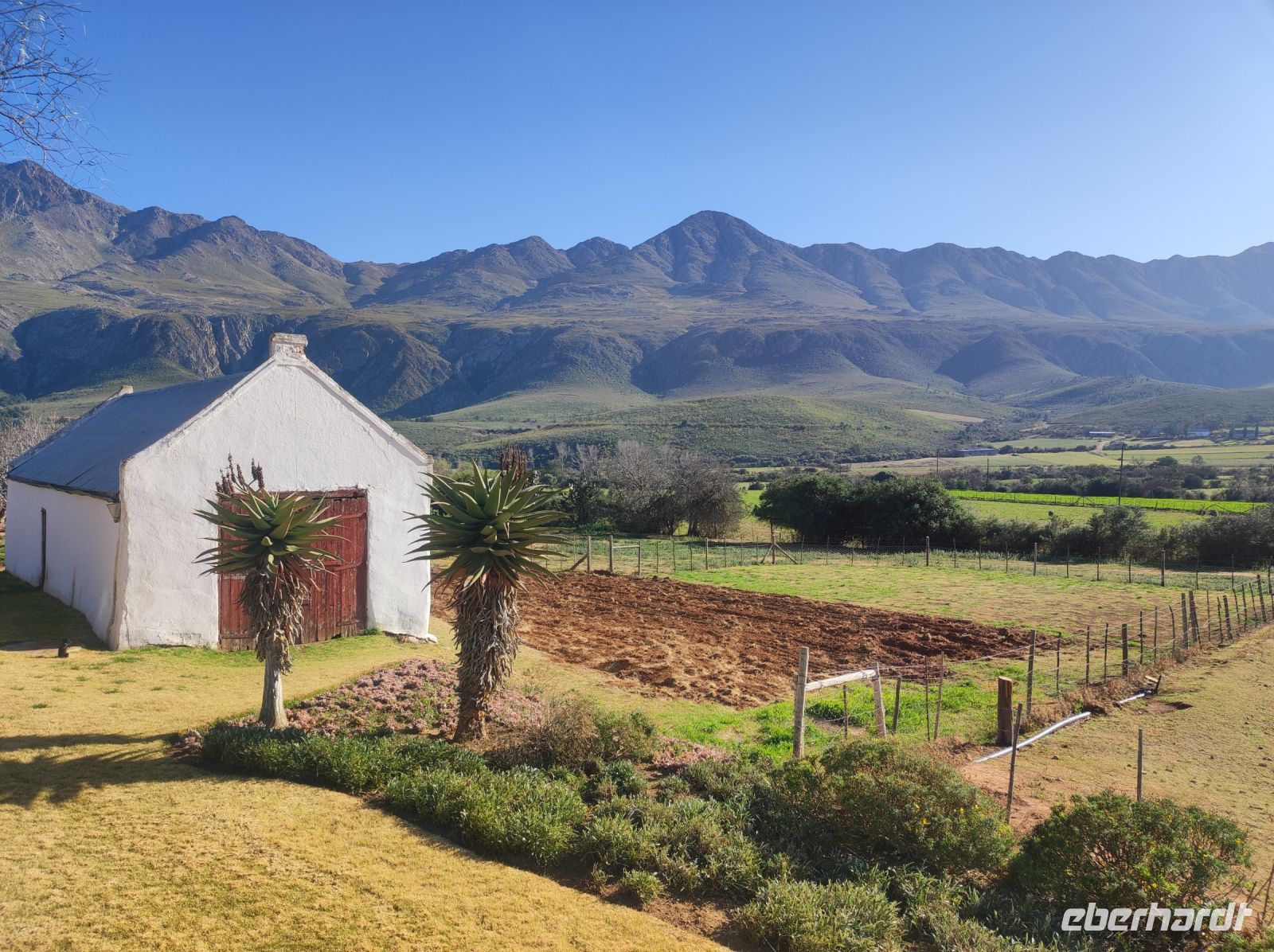 Guten Morgen aus der Swartberg Mountain Lodge - Südafrika