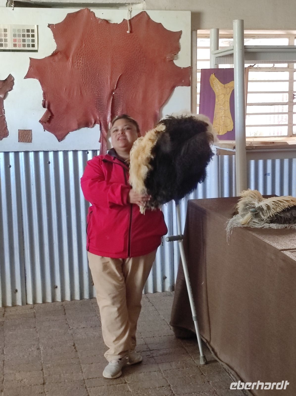 Highgate-Ostrich-Farm (Straußenfarm) - Südafrika