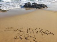 Gartenroute Nationalpark - Südafrika