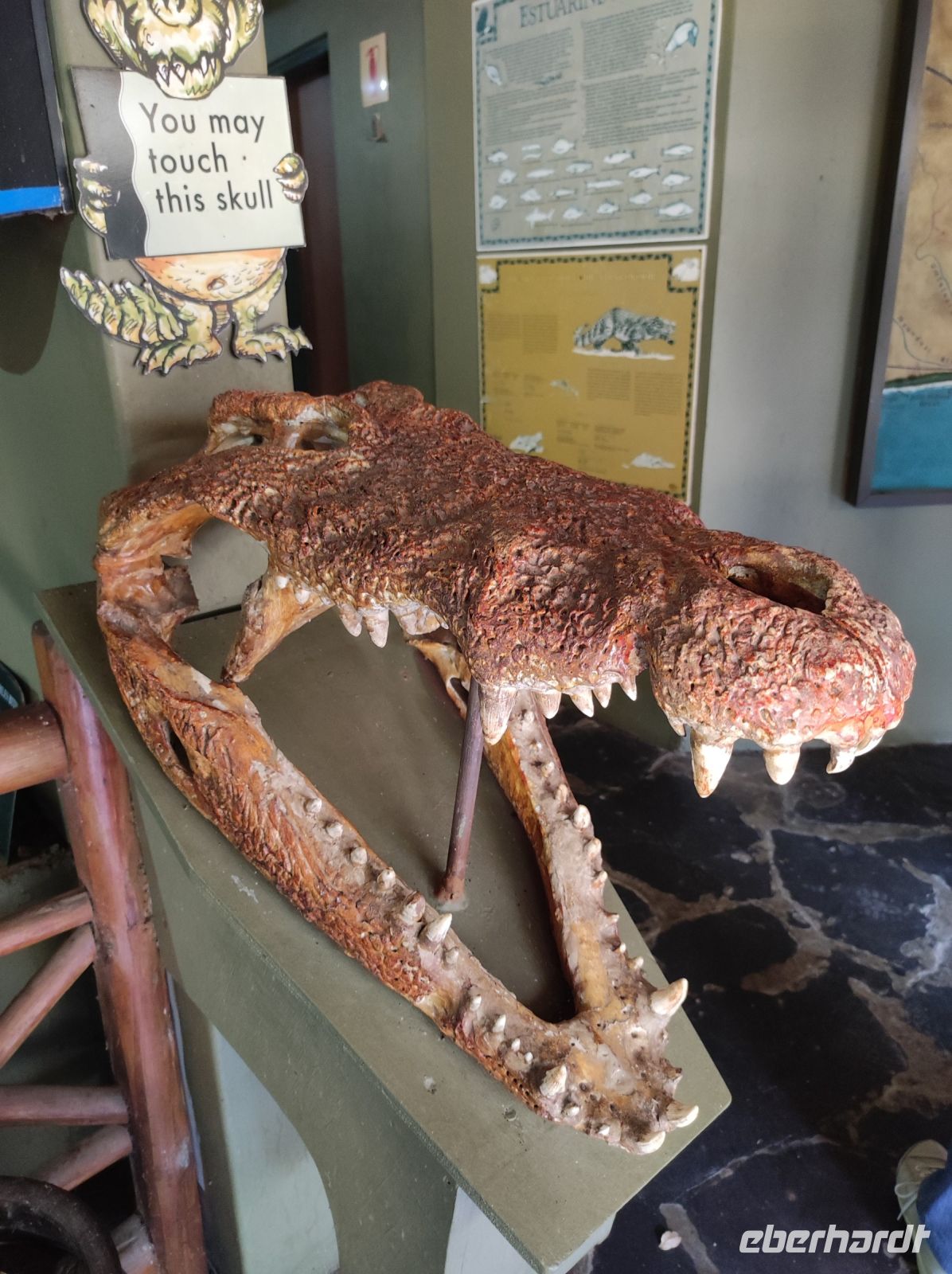 Krokodilfarm in St. Lucia - Südafrika