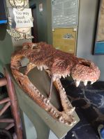 Krokodilfarm in St. Lucia - Südafrika