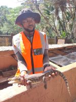 Krokodilfarm in St. Lucia - Südafrika