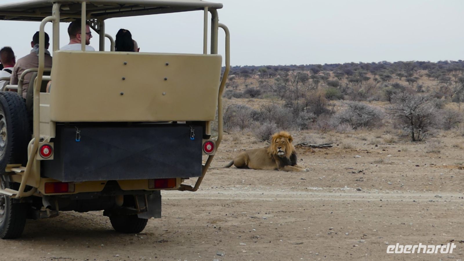 Namibia - Okonjati Wildreservat - Pirschfahrt