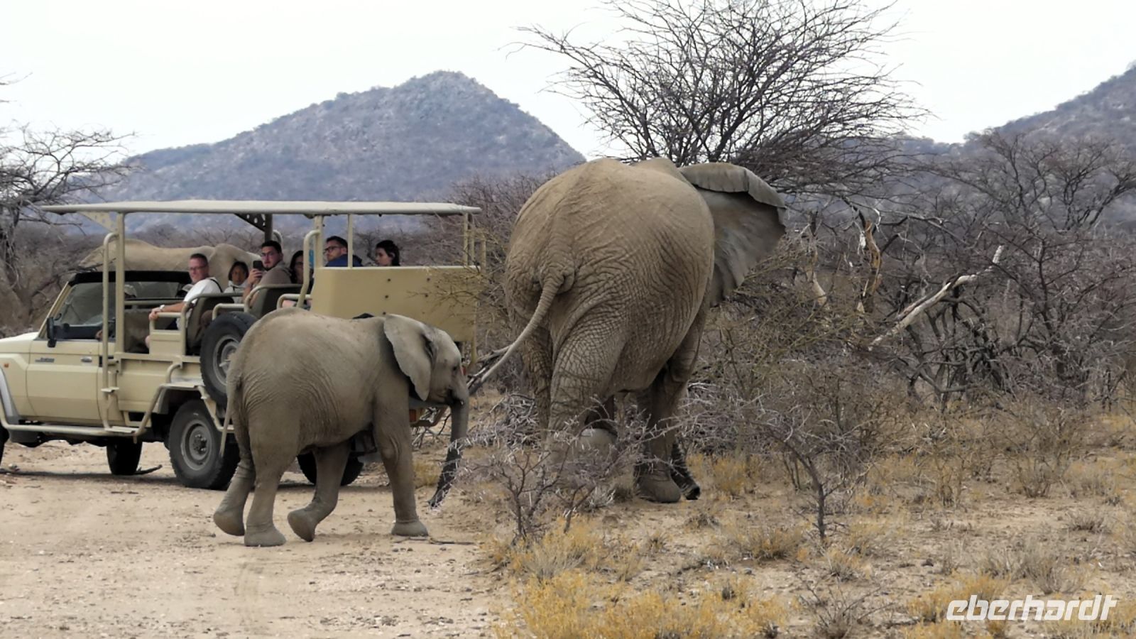 Namibia - Okonjati Wildreservat - Pirschfahrt