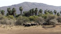 Namibia - Mount Etjo Lodge