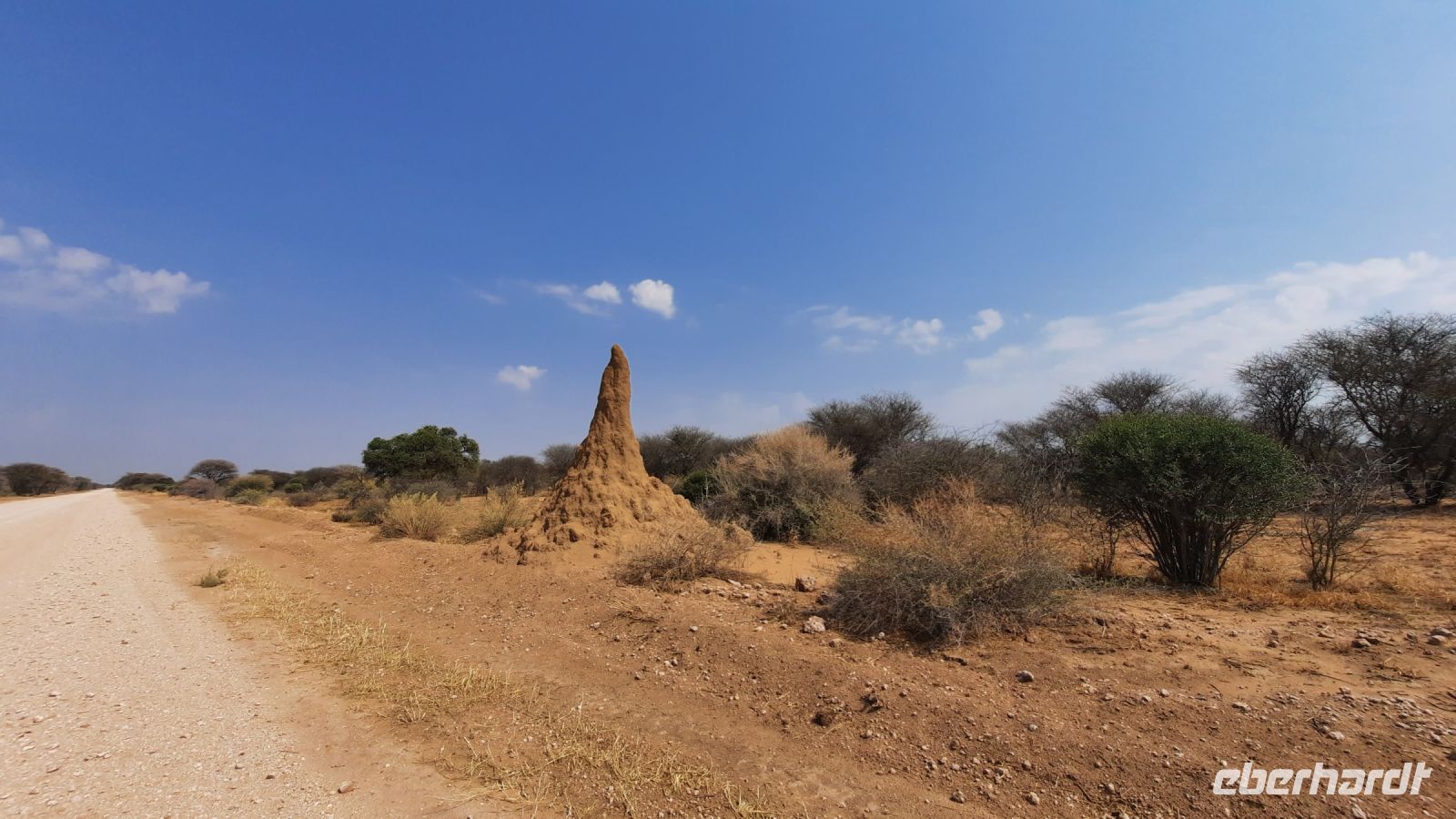 Namibia - unterwegs - Termitenhügel