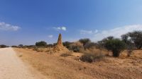 Namibia - unterwegs - Termitenhügel
