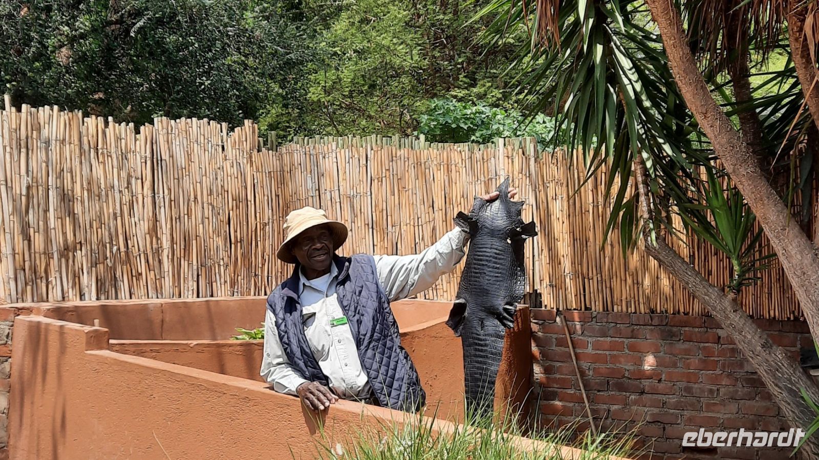 Namibia - Otjiwarongo - Croc Farm - Kanatje
