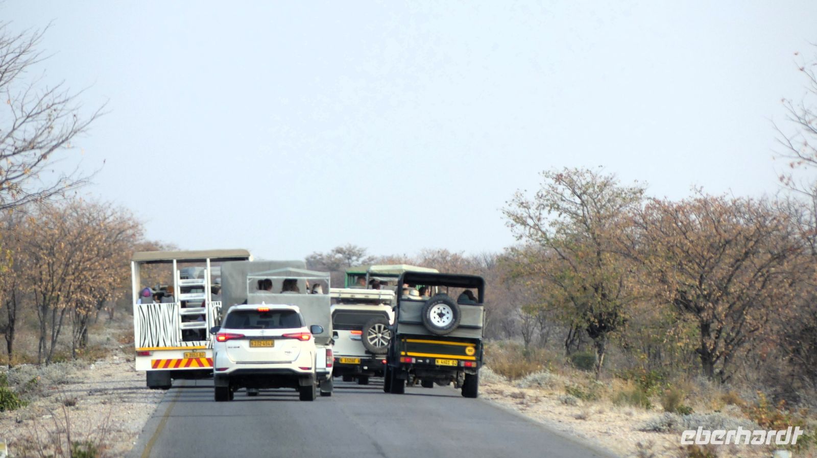 Namibia - Etosha - Pirschfahrt