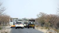 Namibia - Etosha - Pirschfahrt