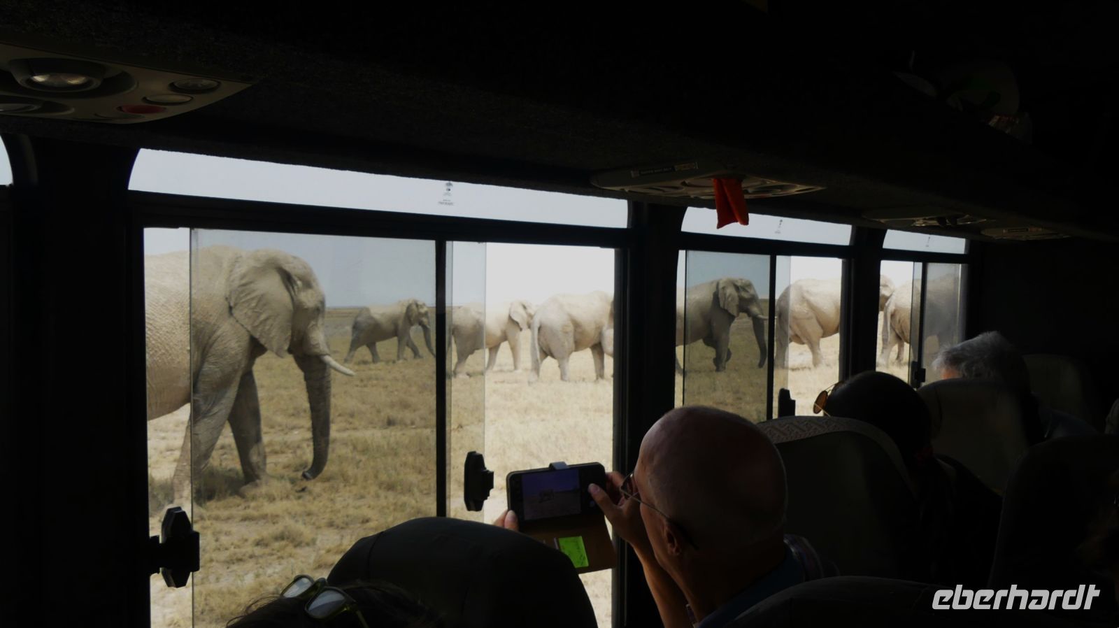 Namibia - Etosha - Pirschfahrt - Aufbruch der Giganten