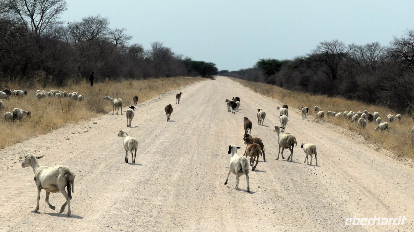 Namibia - unterwegs