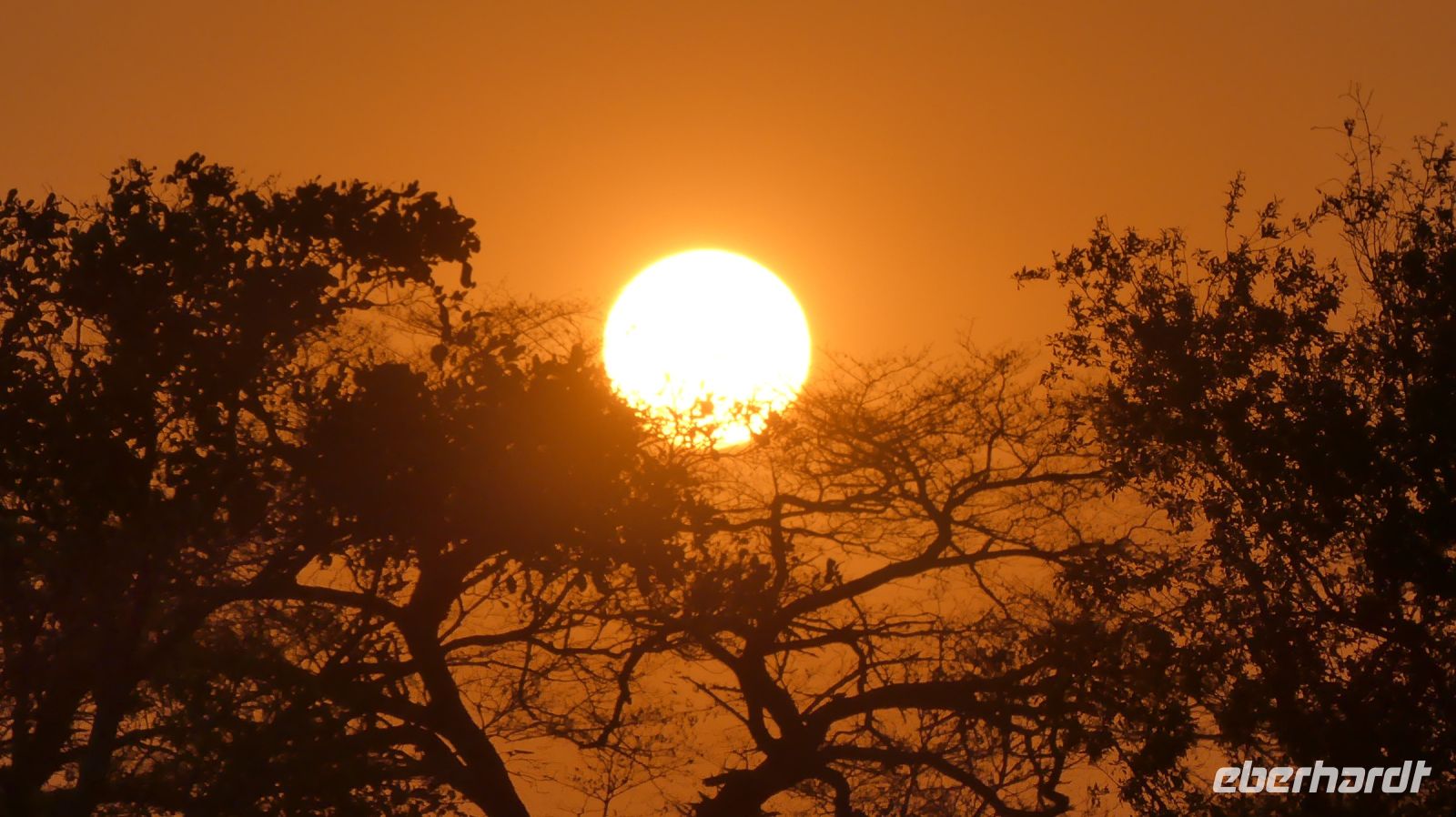 Namibia - Ndhovu Lodge am Okavango