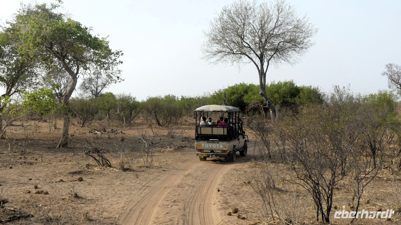 Namibia - Pirschfahrt im Buffalo Park
