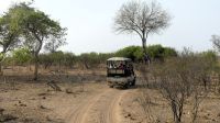 Namibia - Pirschfahrt im Buffalo Park